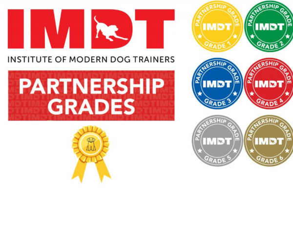 IMDT Partnership Grades