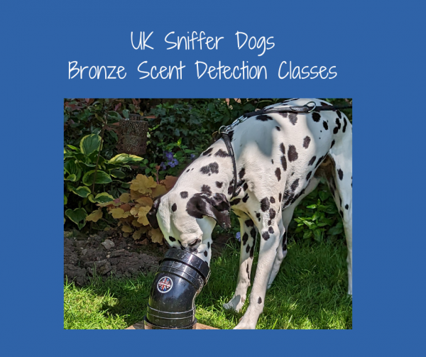 UK Sniffers Dogs Bronze Scent Detection Class