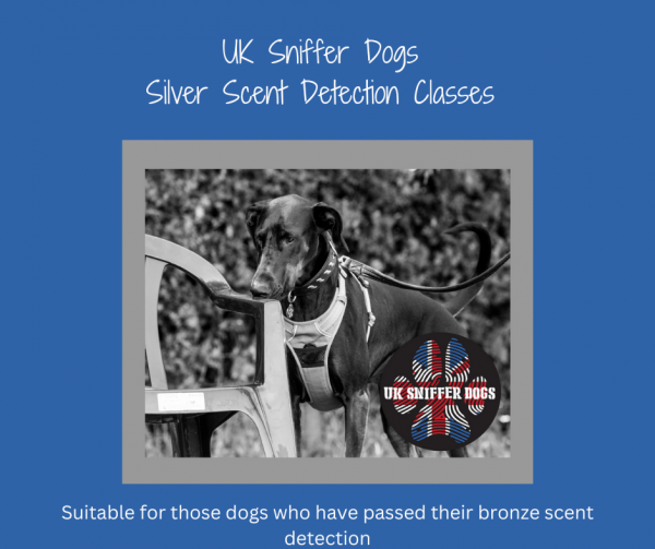 UK Sniffers Dogs Silver Scent Detection Class